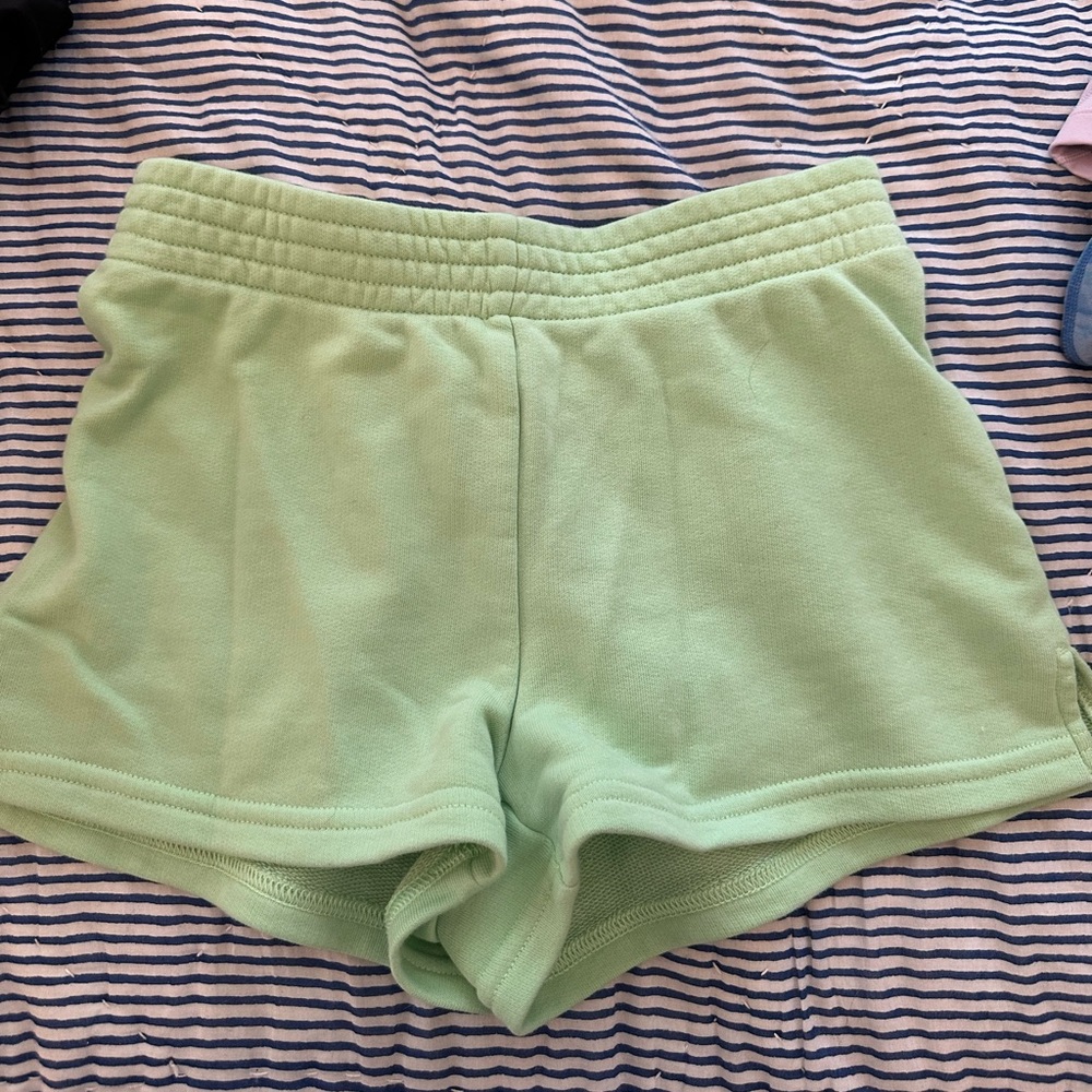 Aritzia shorts